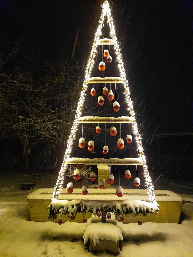 Diese fünf Meter hohe Weihnachtsbaum steht bei Silvia und Klaus Müller in Ühlingen.