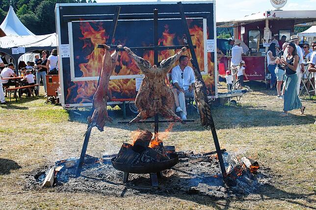 Bild 20: So schön war das Poloturnier in Sylvenstal