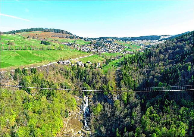 Spektakulär: So soll die Hängebrücke über dem Todtnauer Wasserfall aussehen – an ihrer höchsten Stelle ragt sie 150 Meter über dem ...