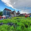17 Stände lockten am Wochenende die Besucherinnen und Besucher in den Klostergarten auf der Reichenau.