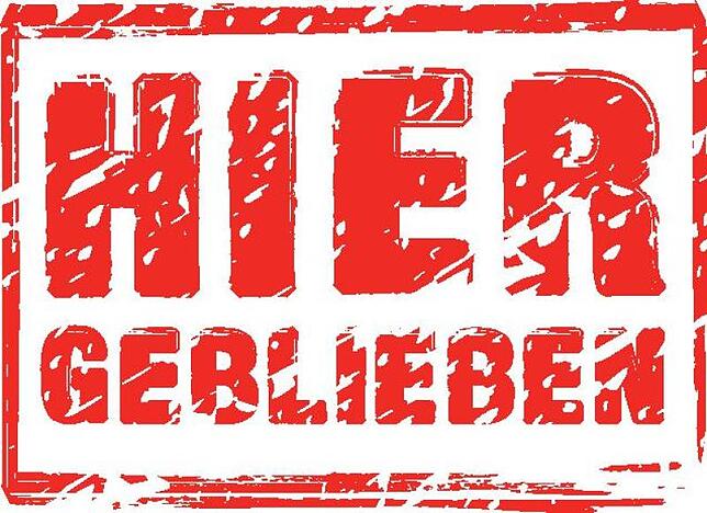 Bild 6: Diese fünf Kunstwerke müssen Singener kennen