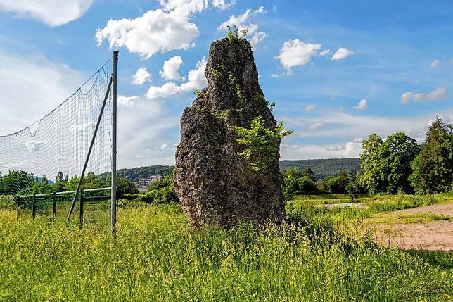 Langer Stein, lange Geschichte: Der Menhir in Tiengen aus der Steinzeit.