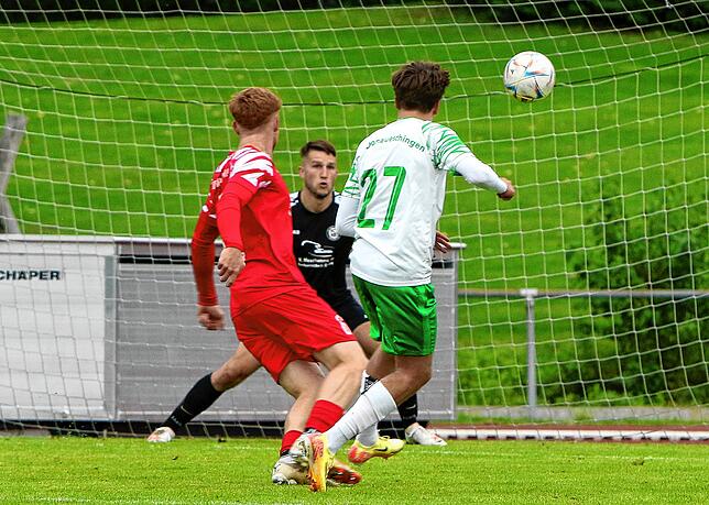 Bild 31: Aufsteiger FC RW Salem besiegt Absteiger DJK Donaueschingen 2:0. Die besten Bilder!