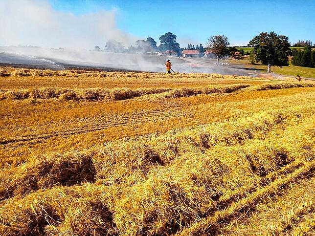 Brand Feld bei Segeten, 10.8.22, 16.30 Uhr