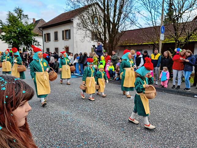 Bild 13: Spaß beim VHN-Narrentreffen: Bilder vom Umzug (1)