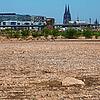 Köln: Steine liegen im freigelegten Flussbett am Rheinufer. Das trockene Wetter und fast völlig ausgebliebener Niederschlag im April ...