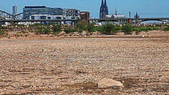 Köln: Steine liegen im freigelegten Flussbett am Rheinufer. Das trockene Wetter und fast völlig ausgebliebener Niederschlag im April ...