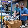 Wer Bienen halten möchte, sollte keine Angst davor haben, gestochen zu werden.