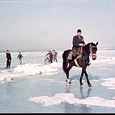 Ein Ritt über den Bodensee: Reiter und Kinder bei der letzten großen Seegfrörne im Jahr 1963.