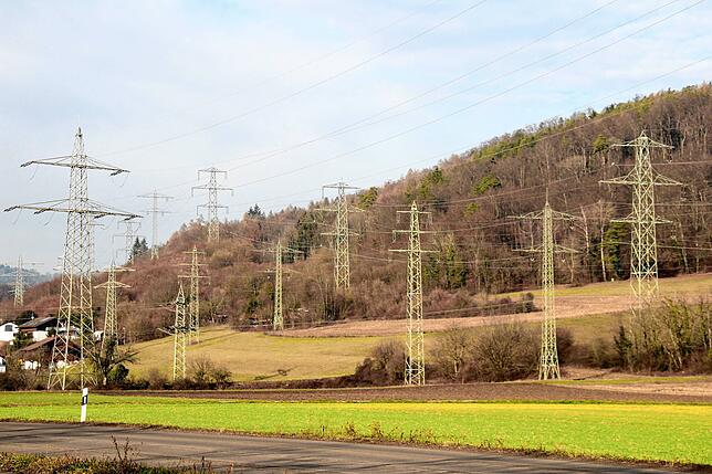 Ein regelrechter Wald von Strommasten prägt das Bild von Gurtweil und Umgebung. Im Zuge der geplanten Maßnahmen sollen Anwohner ...