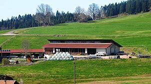 Der Hof von Bernhard Maier in Ruchenschwand. Bild: Karin Steinebrunner