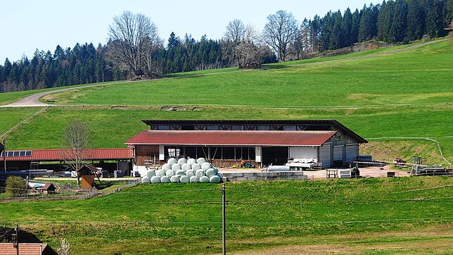 Der Hof von Bernhard Maier in Ruchenschwand. Bild: Karin Steinebrunner