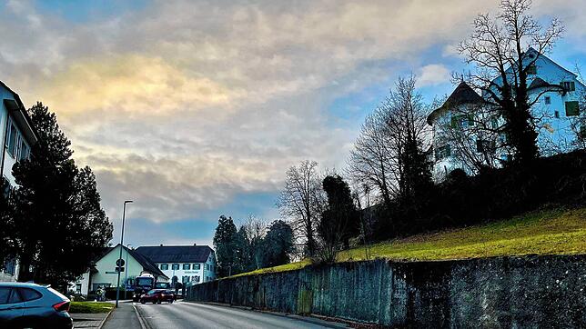 Auf dem Weg ins Randegger Oberdorf wird das Internet immer langsamer. Diese leidvolle Erfahrung hat der selbstständige Coach Ulrich ...