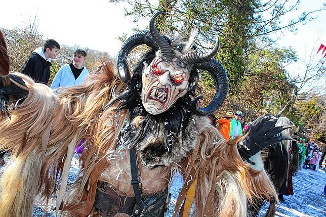 Bild 29: Fasnacht-Umzug 2025 in Wutöschingen: 41 Gruppen bringen viel Freude