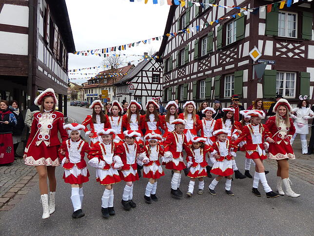 Bild 5: Bilder vom Umzug in Bermatingen