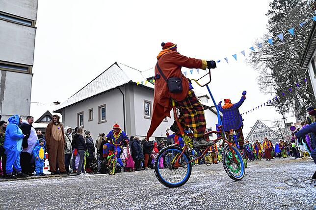 Bild 15: 75 Gruppen beim Fasnachtsumzug in St. Georgen: Wir haben die Bilder