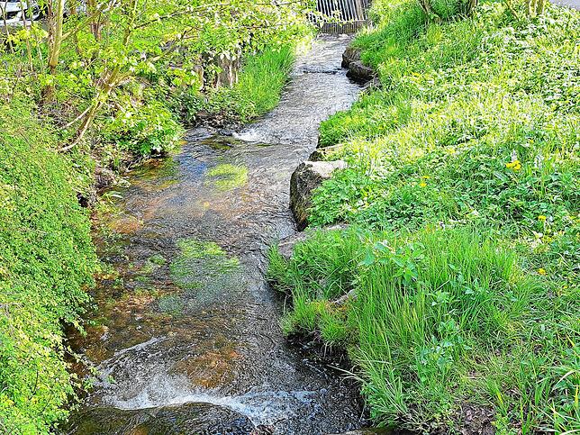 Blick auf den Sägebach: Die Wassermenge sollte doch reichen für die Stadtbächle.