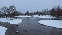 Der Donauzusammenfluss wird neu gestaltet und wieder natürlich hergestellt. Das Projekt befindet sich auf der Zielgeraden.
