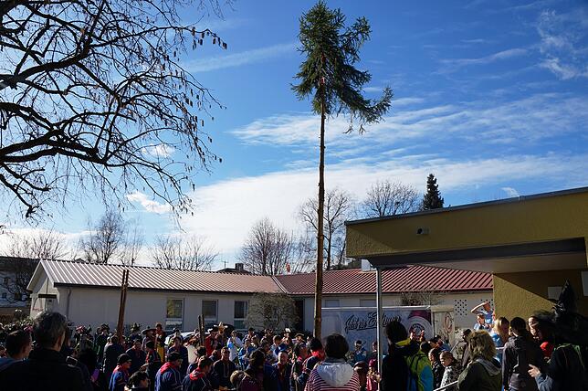 Bild 12: Bilder vom Kinderumzug- und Kinderball in Ludwigshafen