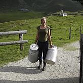 Ganz schön schwer: Die Milchkannen.