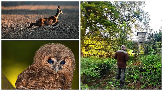Über die kleinen, putzigen Begegnungen mit Waldkauz und Reh spricht Jochen Seyfried (rechts) gerne. Dass die Jagd blutig ist, ...