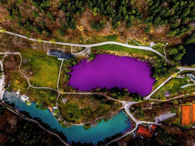 Bild 2: Allgäu: See färbt sich lila