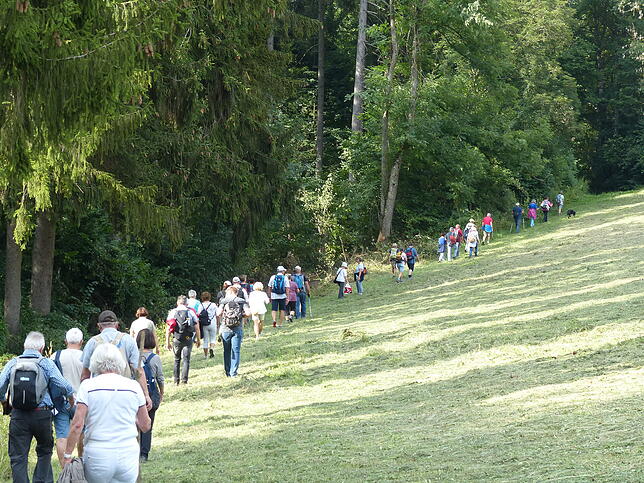 Bild 21: Bilder der &bdquo;Aktion Wanderlust&ldquo; von Verschönerungsverein und SÜDKURIER Überlingen