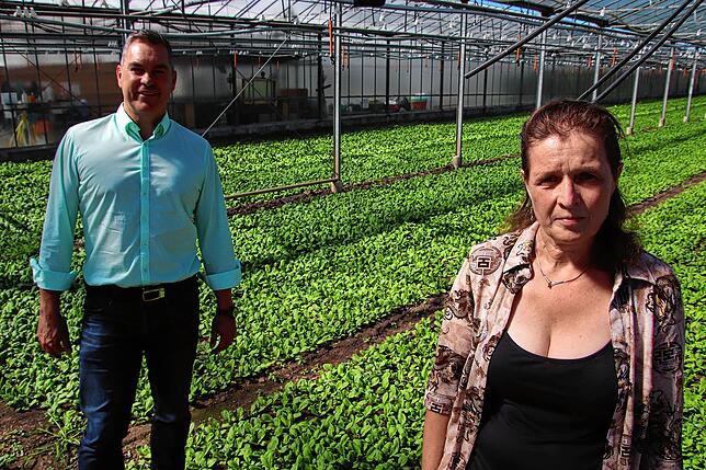 Sabine Wehrle, Landwirtin auf der Reichenau, zeigt dem SÜDKURIER ihren Betrieb. Auch Geschäftsführer von „Gemüse Reichenau“, ...