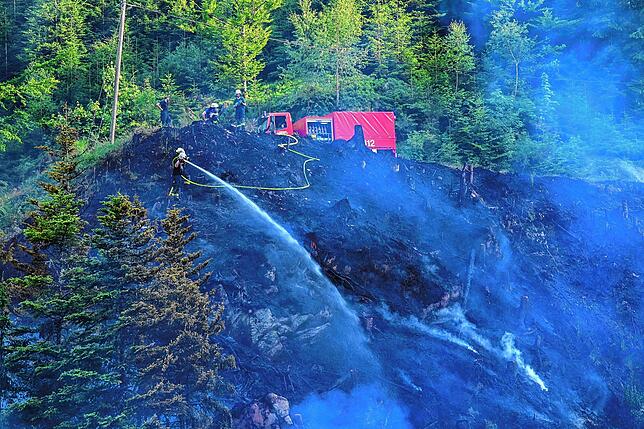 Schwierige Löscharbeiten am Steilhang: Beim Waldbrand in Schonachbach mussten die Einsatzkräfte im Sommer mehrere hundert Meter ...