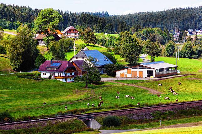 Die Idylle in Stockburg ist wieder hergestellt. Im Vordergrund das Gebäudeensemble des Unteren Haasenhofs. Im Hintergrund auf der Anhöhe ...