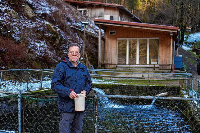 Ausflug mit Fisch: In der Mambacher Fischzuchtanlage von Günter Wassmer werden die Wehrer Bachforellen nachgezüchtet. Im Herbst wurden ...