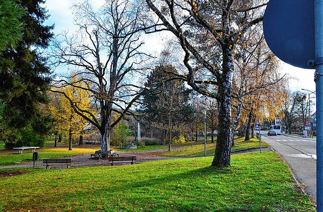 Soll der Stadtpark ein sogenanntes ruhiges Gebiet werden? Und was wäre dann dort noch erlaubt? Diese Fragen sollen nun geklärt werden.