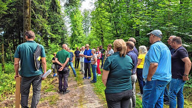 Eine Waldbegehung unternahm der Gemeinderat von Waldshut-Tiengen am 26. Juni im Bürgerwald, um sich ein aktuelles Bild von der Lage im ...