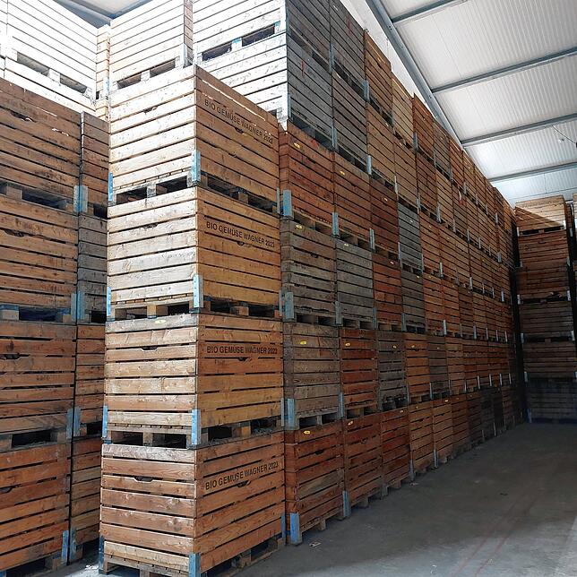 So sieht es in der Lagerhalle aus. Dort sind mehrere tausend Kisten mit jeweils 300 Kilogramm Bio-Süßkartoffeln gestapelt. Sie stammen ...
