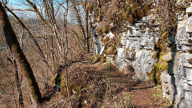 Die Wege sind derzeit sehr gefährlich. Wutachranger Martin Schwenninger warnt vor einer Nutzung der Wanderwege durch die Wutachflühen. ...