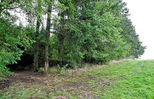 In dem kleinen Waldweg links arbeitet der Mann von Monika Lobe-Walz. Am Ende der Baumreihe verläuft der Weg, an dem das E-Bike ...