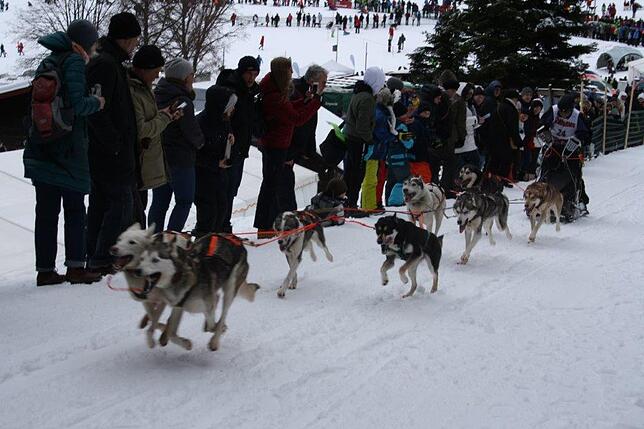Bild 13: Das Internationale Schlittenhunderennen in Todtmoos 2019 in Bildern