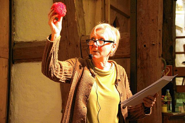 Der Blick auf den roten Bollen als Teil des typischen Wahrzeichens des Schwarzwaldes gab die Vorsitzende Jutta Binner-Schwarz bei der ...