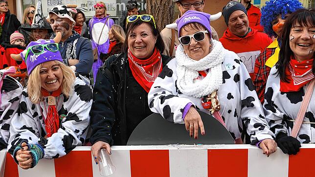 Beste Stimmung beim Fasnachtsumzug in Radolfzell
