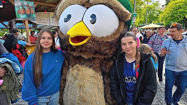 Bild 9: Bilder vom Überlinger Promenadenfest