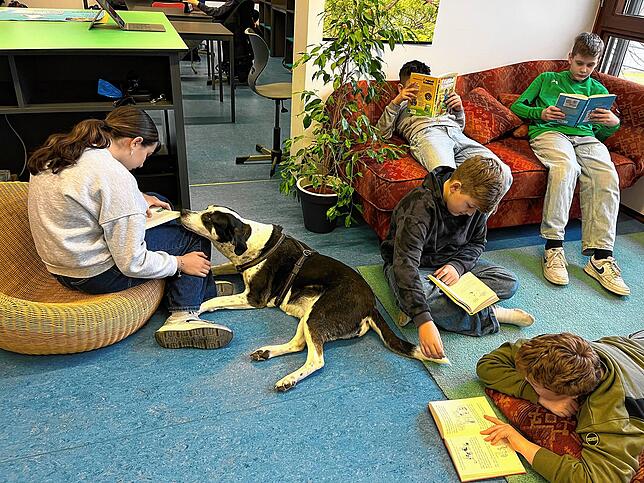 Vorlesehund Villy kriegt von den Schülern der GMS Rheintal etwas vorgelesen.