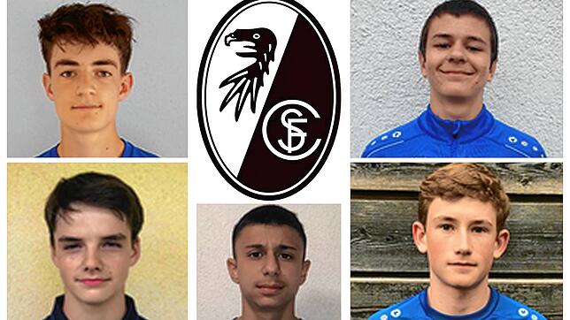 Sie wechseln vom FC Radolfzell zum SC Freiburg: (oben, von links) Julian Merk, Simon Tisch Rottensteiner; (unten von links) Pascal ...