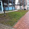 Um dieses Stück Rasen geht es: Die Stadt Radolfzell will neben dem Mühlbachcenter eine Grünfläche umgestalten und nennt sie Pocket-Park