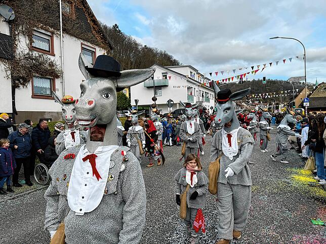 Bild 50: Spaß beim VHN-Narrentreffen: Bilder vom Umzug (1)
