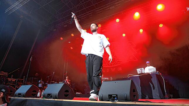Bild 11: Die besten Bilder vom Bausa-Konzert auf dem Hohentwiel-Festival (Teil 1)