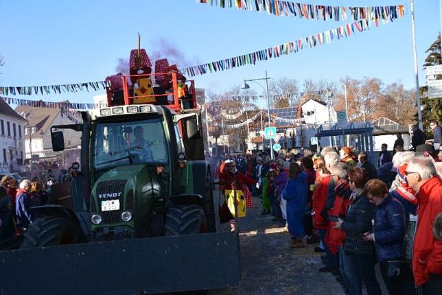 Bild 5: Bilder vom Narrentreffen der Urviecher-Zunft Bad Dürrheim: Großer Festumzug (4)