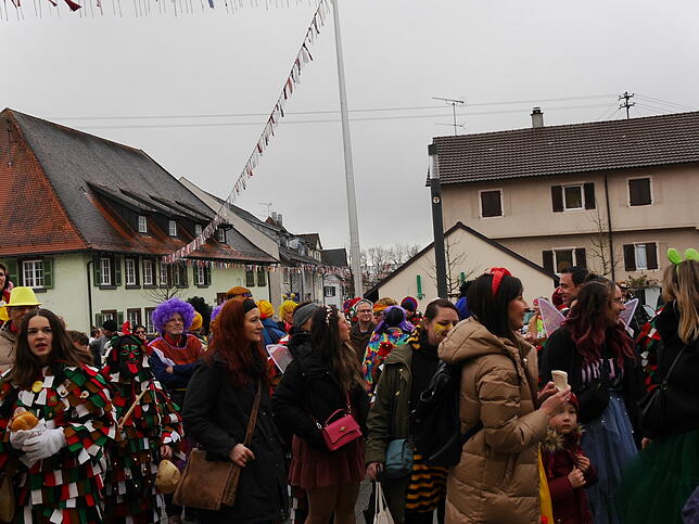 Bild 30: Bilder vom Schmotzigen in Hilzingen: Fasnacht 2025 mit buntem Treiben!