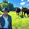 Stephan Peltzer bei seinen Wagyu-Rindern auf der Weide. Im Gegensatz zu seiner früheren Managertätigkeit ist die Rinderzucht für ihn ...