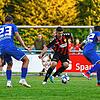 Bild :