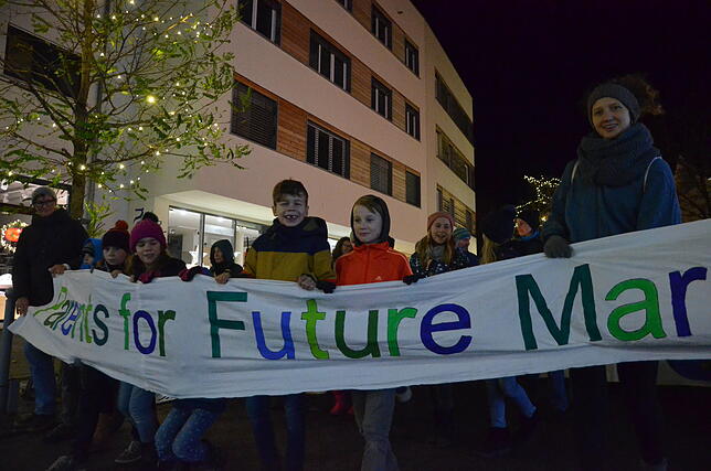 Bild 7: Bilder von der zweiten Klima-Demo in der Markdorfer Innenstadt